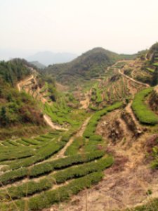 China Trip Breathtaking views of Anxi