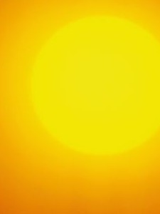 Dog Days Cometh Hot sun + cold tea = happy!