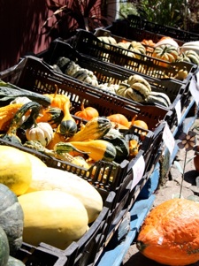 Finally Fall! Hope your autumn tea is 'gourd-geous.'