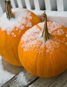 Thankgiving 2011 Even our pumpkins were chilly!
