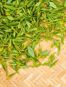 Guiding the Tea Noob A universe of leafy goodness in a basket.