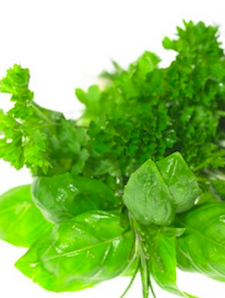 Iced Tea Trends Herbs!