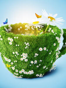 The World Needs Tea Meadow in a Cup