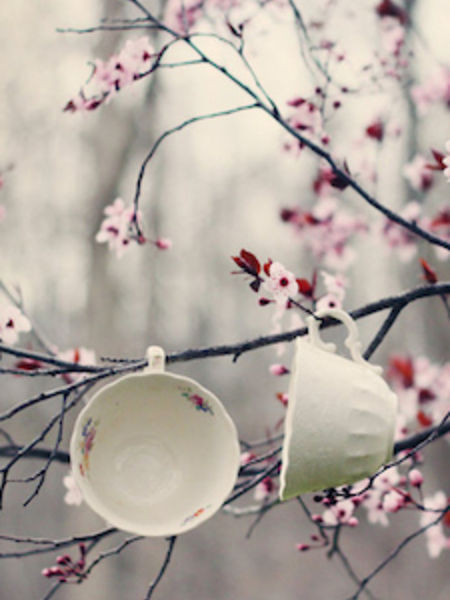Transition Into Spring It's blooming teacups!