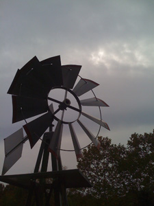 Tumultuous Autumn 2008 Winds of autumn spinning the mill