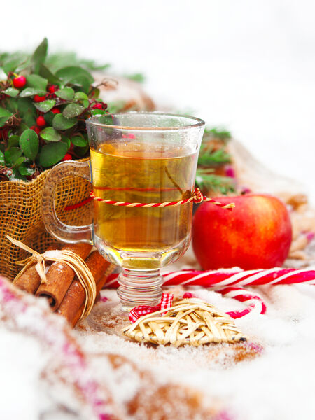 Popular Holiday Teas to Stock Up On NOW Tea is a universal gift - order early and don't miss the bestsellers!