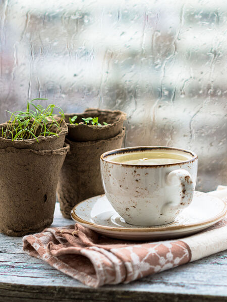 Tea Ideas For Your Early Spring Menu Tea comforts on a rainy spring day.