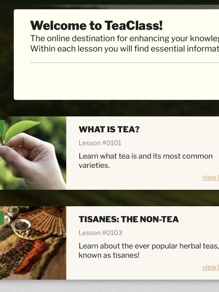Boost Sales with Tea Class for Your Team Boost your skills and sales - get started on TeaClass today!