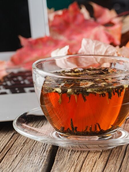 The Best Back-to-School Teas Enhance study time with the magic of tea!